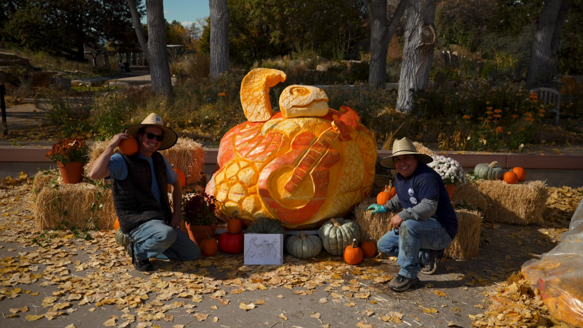 Denver botanic gardens carves biggest pumpkin yet, almost 2,000 pounds